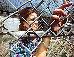 Joan Mitchell dans Season of the Witch Joan Mitchell dans Season of the Witch