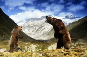 L'Ours de Jean-Jacques Annaud L'Ours de Jean-Jacques Annaud