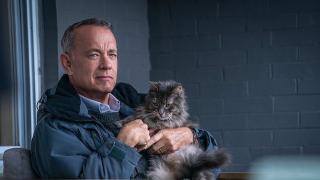 Tom Hanks - Le Pire Voisin au Monde