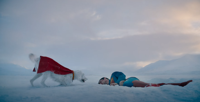 Krypto et Superman dans Superman de James Gunn Krypto et Superman dans Superman de James Gunn