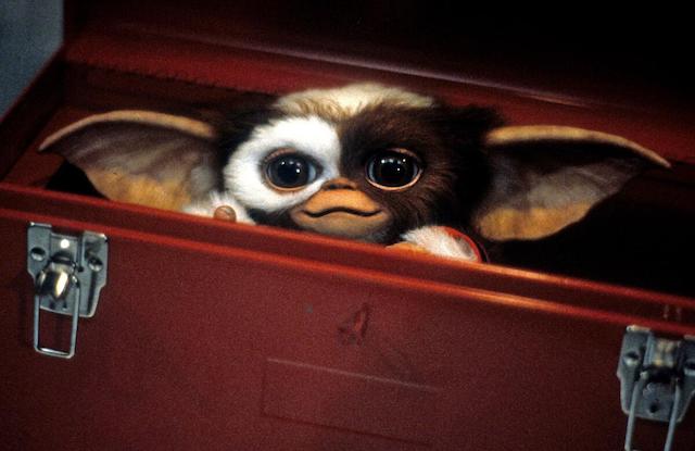Gizmo - Gremlins 2 de Joe Dante Gizmo - Gremlins 2 de Joe Dante